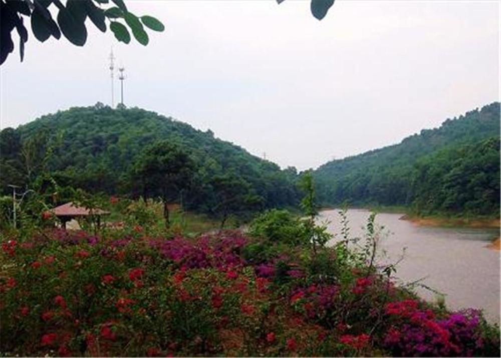 Phoenix Hotel Wuyi Jiangmen Luaran gambar